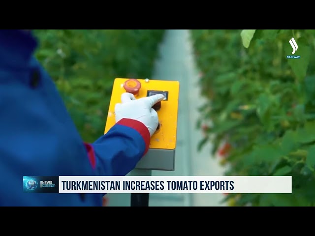 Түрікменстан қызанақ экспортын арттыруда