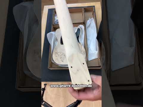 E-Gitarre Bausatz Guitar DIY Kit MLT Esche Wurzel Top