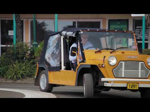 Exodus Travel Agency video.