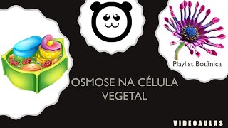 Osmose na célula vegetal