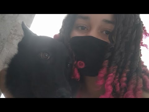 ROTINA PASSEANDO COM MINHA CADELA PREFERIDA (PUMBA) PELO CONDOMÍNIO (Parte 3) 