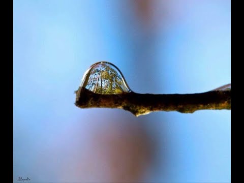 Schlaf-Yoga Nidra (nur Audio)