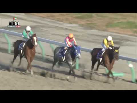 2017.12.03 Champions Cup (JPN) - Gold Dream