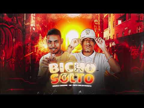 ROMULO CHAVOSO E MC TONTA VIOLENTAMENTE - BICHO SOLTO