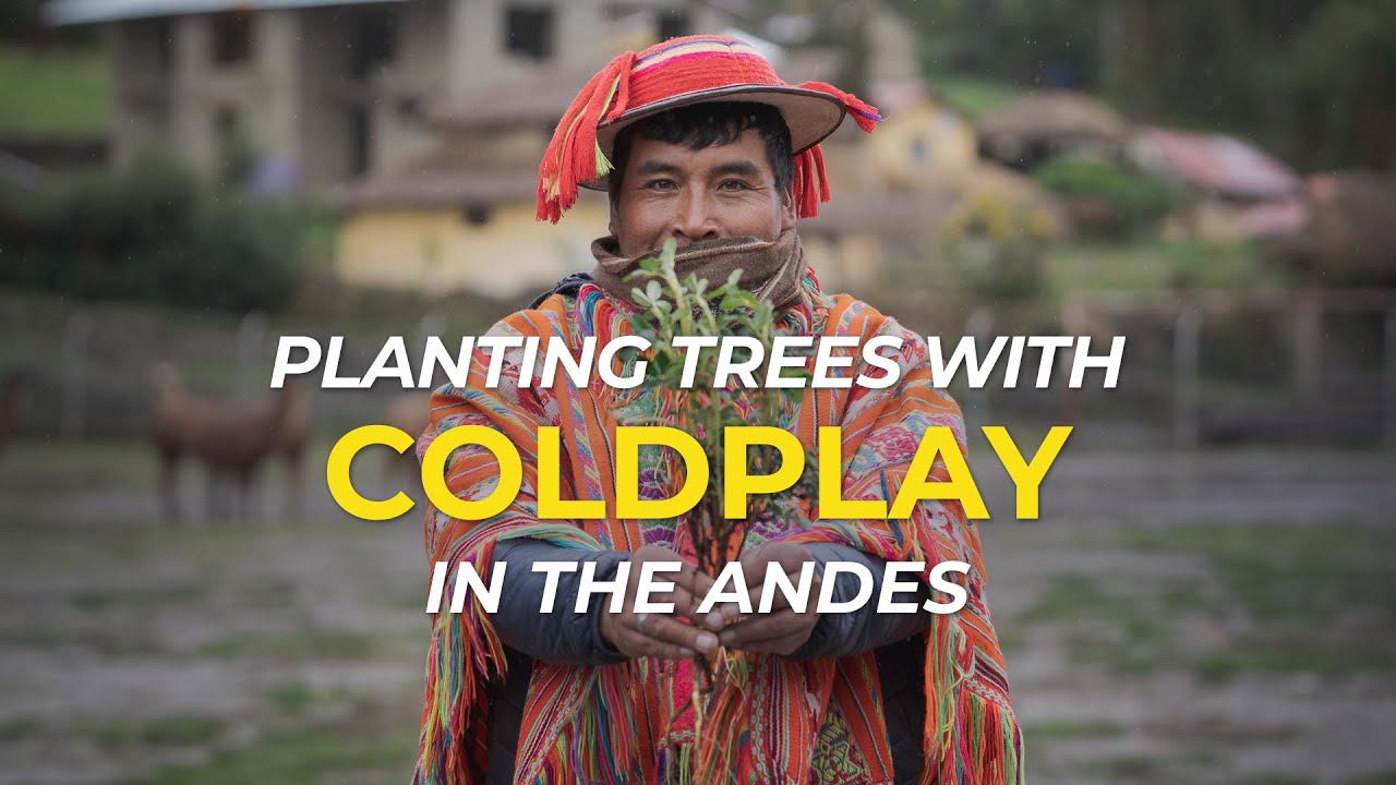 Coldplay Planting Trees in the Andes | One Tree Planted