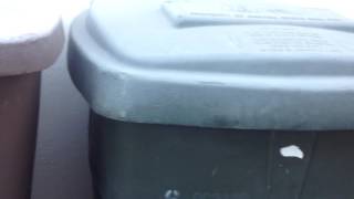My republic services bins