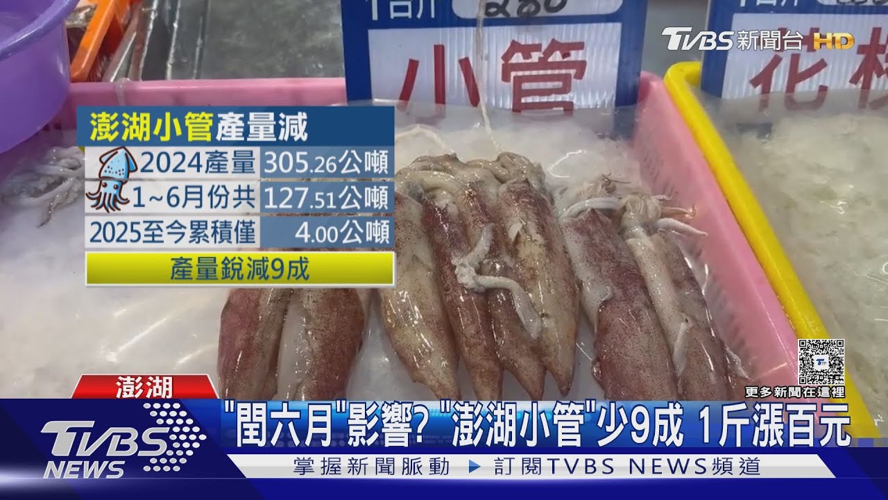 「閏六月」影響？　「澎湖小管」少9成　1斤漲百元