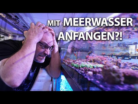 Richtiger Start in das HOBBY MEERWASSERAQUARISTIK!