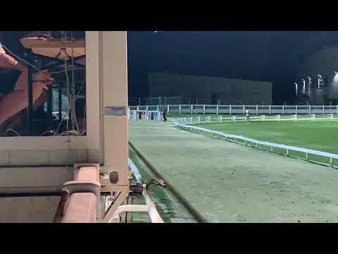 Best Bolt trial Kincsem Park