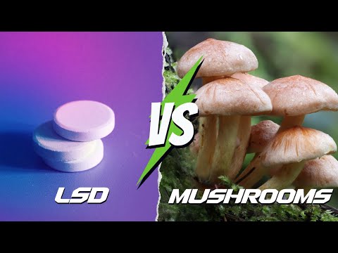 LSD vs. Mushrooms: Side Effects, Ingestion Methods