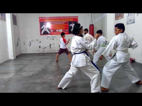 Karate Training Kumite Oie Tsukie, Mae Geri.