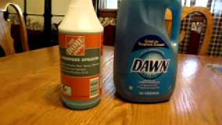 Dish Soap Bug Killer