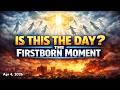 Biblical Firstborn Mentions and Hidden Codes: Fact Check Analysis
