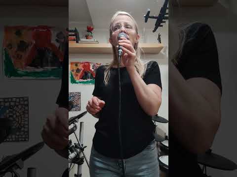 Tvær stjörnur e. Megas - cover