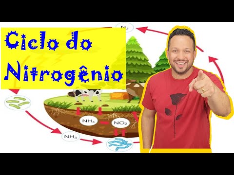 Ciclo do Nitrogênio - Ciclos Biogeoquímicos - Ecologia - Biologia com o Tubarão