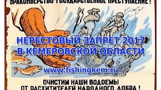 Сроки запрета на рыбалку в кемеровской области