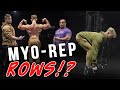 Unique and Effective Back Workout