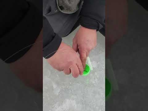 D K S magic powder with mike smith