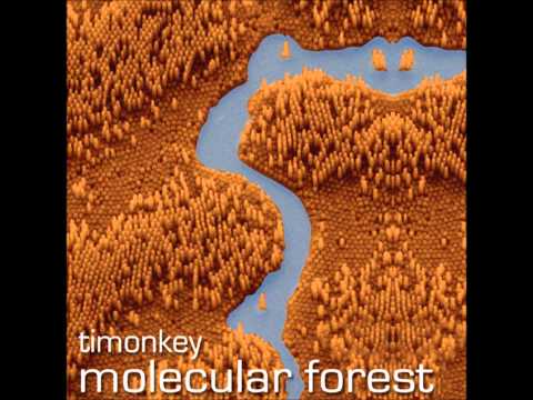 download lagu mp3 mp4 Molecular Forest, download mp3 Molecular Forest free downloadn, video klip Molecular Forest