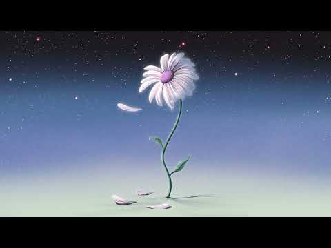 Video thumbnail for AURORA / DEAD FLOWERS