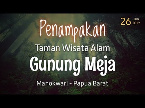 PENAMPAKAN HUTAN GUNUNG MEJA MANOKWARI