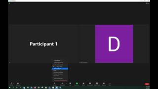 Zoom In Meeting Security Settings
