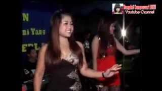 Download lagu DELTA NADA Oplosan Dangdut Koplo 2015 Terbaru Full Album 8 mp3