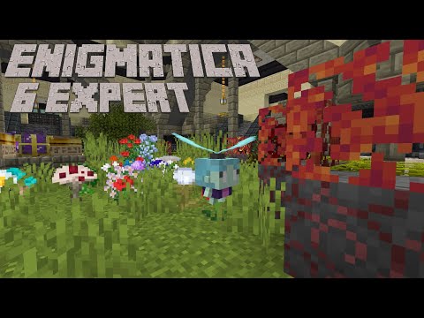 Slyph, Centrifuges, and T3 Apiaries: Enigmatica 6 Expert Minecraft 1.16.5 LP EP #23