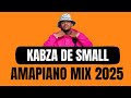 Kabza De Small BEST AMAPIANO 2025 Bo Gogo JD 27 Maliye Briyani