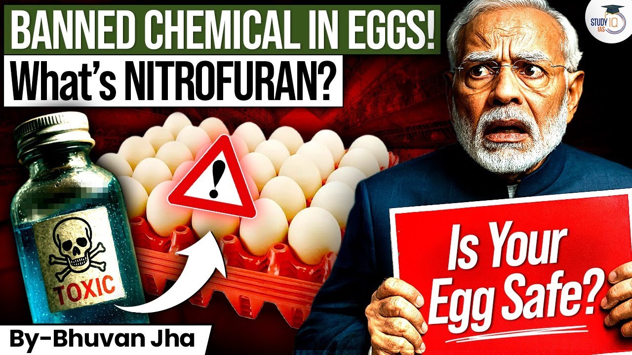 Silent Killer in Eggs? | Nitrofuran Controversy & Health Risk Explained | Full Story