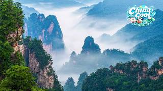 Live: Explore Zhangjiajie National Forest Park, a cool escape amid towering peaks - Ep. 2