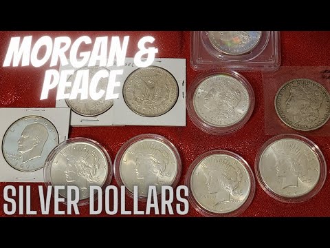 What You Should Know and Basics about Morgan/Peace Silver Dollar