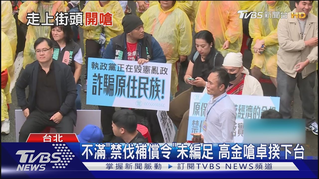 不滿「禁伐補償令」未編足　高金嗆卓揆下台