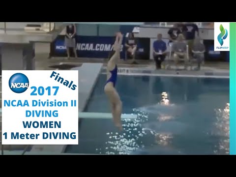 2017 NCAA Division II Women 1 Meter Springboard Diving finals
