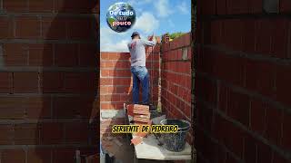 SERVENTE VS PEDREIRO QUEM TRABALHA MAIS? #viral #shorts #comedia #youtubeshorts