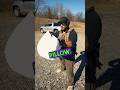 Using A Pillow As A Gun Silencer Shorts