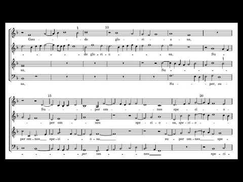 Willaert: Ave regina coelorum - Capilla Flamenca