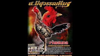 Download lagu Melihat lebih dekat Sang Champion Pama 70,2 Juta Baht mp3