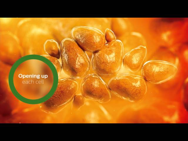 YouTube Video -