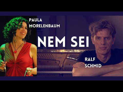 Song Collaboration 2020 by Paula Morelenbaum and PYANOOK 🇧🇷🇩🇪