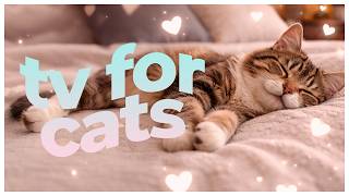 6 Hours of Cat TV 🐱 | Birds, Nature & Relaxing Music for Cats | Entertainment for Indoor Cats