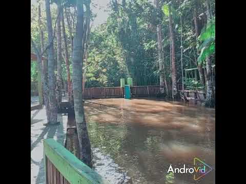 linda chácara a venda! em Goianésia do Pará.