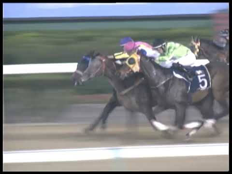 2019-02-22 Race 5(0161) - THE CLYDEBANK