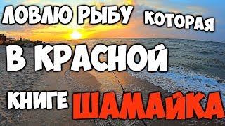 Рыбалка на белосарайской косе 2020