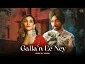 Dilan Di Baazi Video Satinder Sartaj Galla N Ee Ney Lyrical Video New Punjabi Song 2025