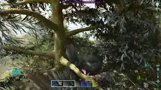 【参加○】Ark/ASA　アイランド編　雷電将軍のサバイバル生活4日目　(PS5)