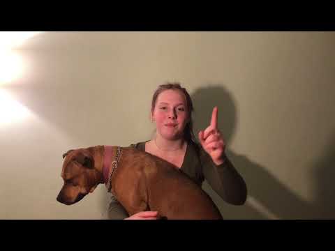 WHAT HAPPENED AT GOT7 FLY IN CHICAGO