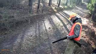 Rabbit Hunt in Georgia