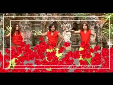 Trio Januadi - Pucuk Rejuna