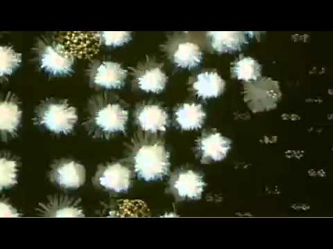 Stuff They Don't Want You to Know - Teleportation and Holograms